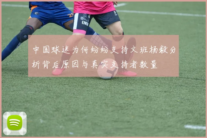 中国球迷为何纷纷支持文班杨毅分析背后原因与真实支持者数量