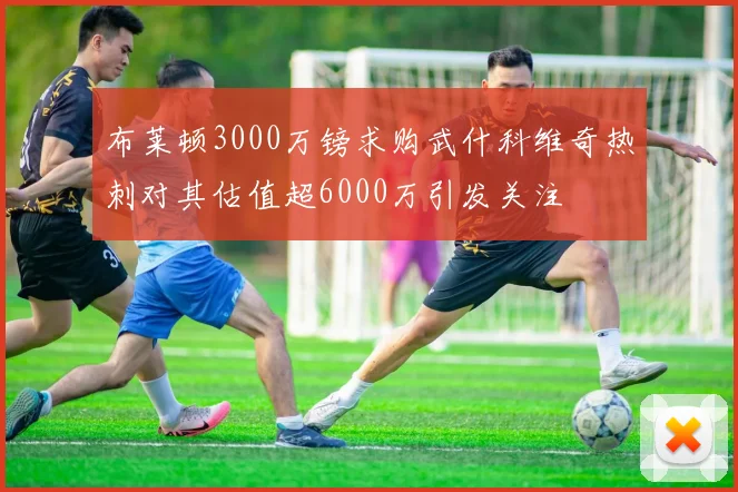 布莱顿3000万镑求购武什科维奇热刺对其估值超6000万引发关注