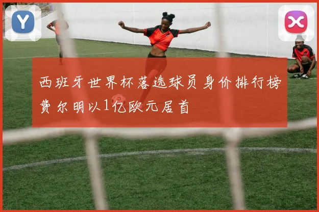 西班牙世界杯落选球员身价排行榜费尔明以1亿欧元居首